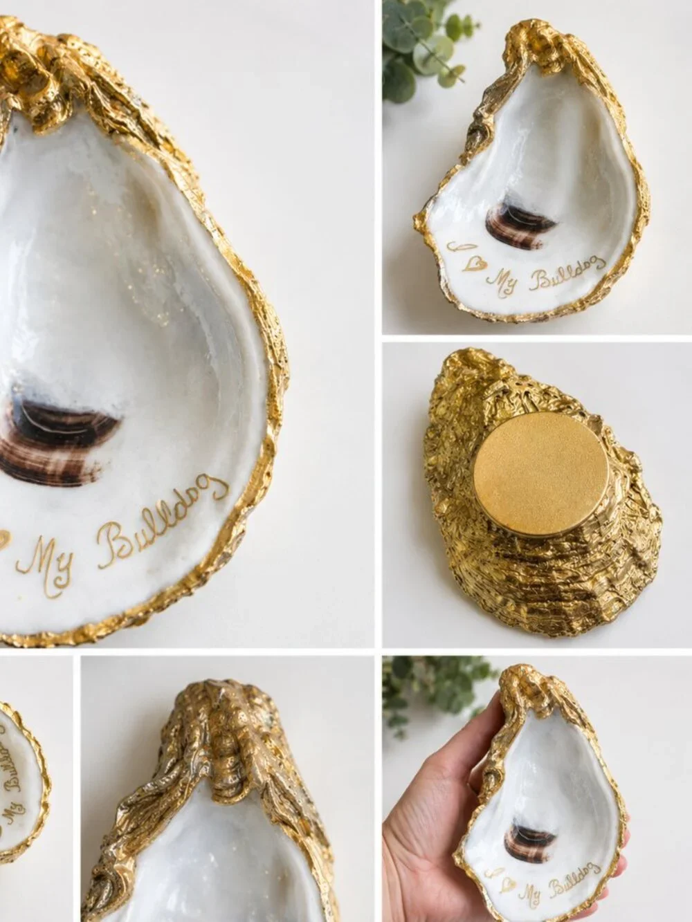 Bulldog Oyster Trinket Dish Gold Accent Jewelry Ring Holder